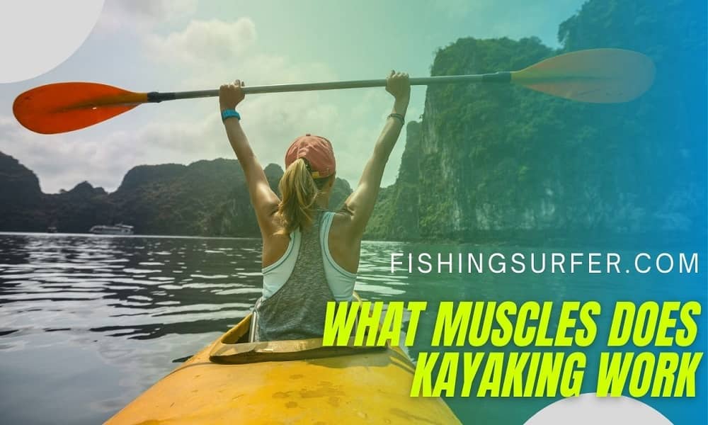 What muscles does kayaking work? Why Kayaking is a Terrific Full Body